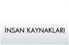 İnsan Kaynakları